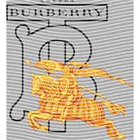 Brand Catalog-ZX 330